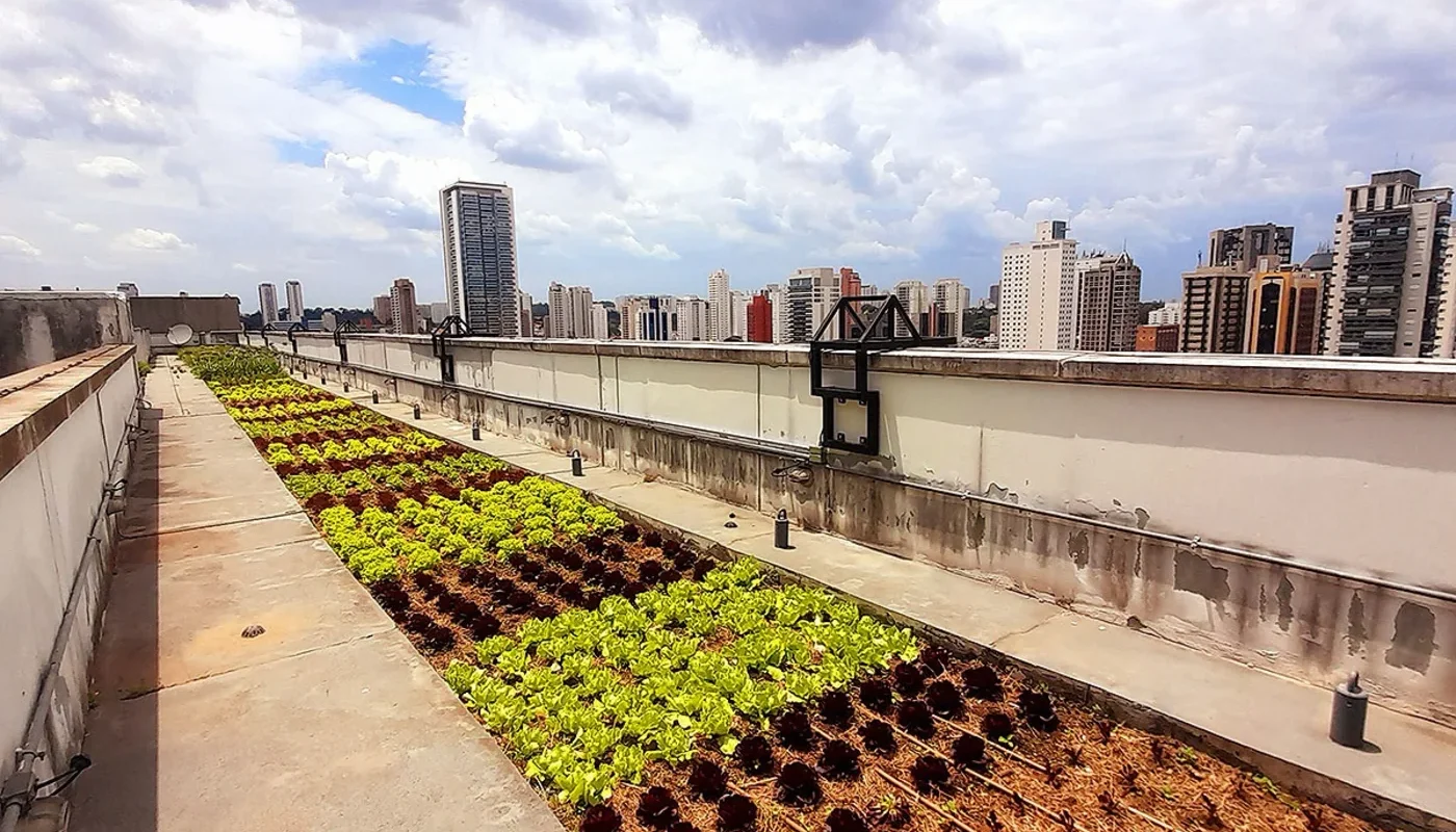 Transformação Urbana: Hortas no Teto Pela Sustentabilidade